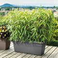 Plant pot Deroma Anthracite Recycled Injected 100 cm