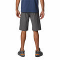 Sports Shorts Columbia Silver Ridge  Moutain Dark grey