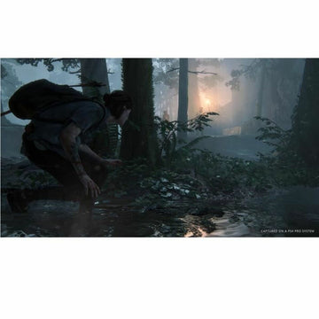 PlayStation 4 Video Game Naughty Dog The Last of Us: Part 2