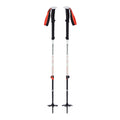 Trekking Stick Black Diamond Expedition 2 Black Grey (2 Units)