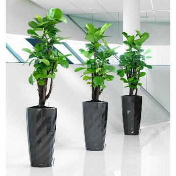 Plant pot Lechuza Grey Plastic (1 Unit)