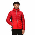 Men's Sports Jacket Regatta Harrock Red