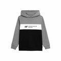 Sweat-shirt Enfant 4F JBLM003  Gris