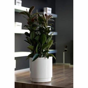 Self-watering flowerpot Plastiken   White Ø 48 cm