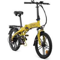 Electric Bike Youin 250 W 20" 25 km/h