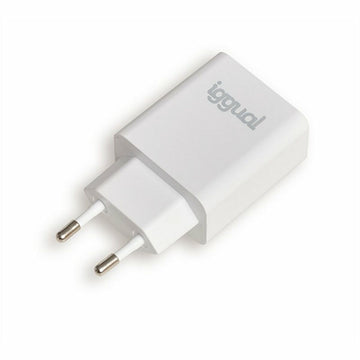 Wall Charger iggual IGG318164 20 W