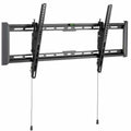 TV Mount Aisens WT90T-237 43" 75 Kg