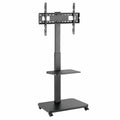 TV Mount TM Electron 40 kg