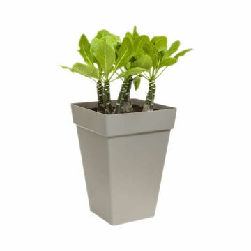 Plant pot Elho Anthracite polypropylene Plastic Squared Modern 37 cm