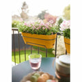 Planter Elho   70 cm Plastic