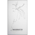 Unisex Perfume Nasomatto Silver Musk 30 ml