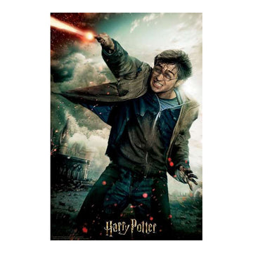 3D Puzzle Harry Potter Battle Prime3D (300 pcs)