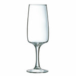 Champagne glass Luminarc Equip Home Transparent Glass (17 CL)