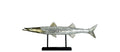 Laviere Mosaic Fish Medium