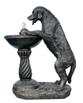 Labrador Drinking at the Bubbler Fountain Self Contained