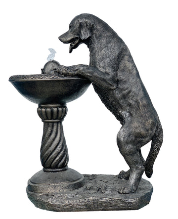 Labrador Drinking at the Bubbler Fountain Self Contained