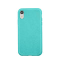 Forever Bioio case for iPhone 13 Pro 6,1&quot; mint