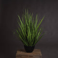 Large Field Grass pot