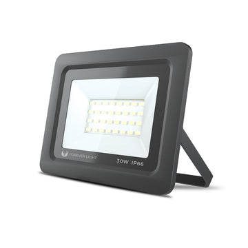 Floodlight LED PROXIM II 30W |6000K| IP66 Forever Light