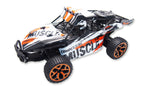 Sand Buggy Extreme D5 "white-orange" 1:18  4WD RTR