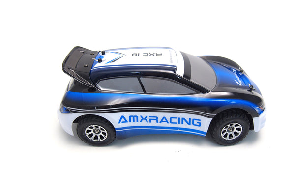 RXC18 Blue Rally-Fahrzeug 1:18 4WD RTR