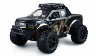 Warrior Monster Truck 1:10 RTR schwarz/gold