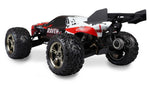 Raven 4x4 Monster Truggy brushless 1:10 RTR