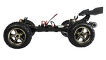 Raven 4x4 Monster Truggy brushless 1:10 RTR