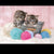 Sweet Kittens puzzle 104pcs