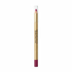 Lip Liner Pencil Colour Elixir Max Factor Nº 070 Deep Berry (10 g)