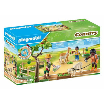 Action Figure Playmobil 71251