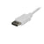 USB C to DisplayPort Adapter Startech CDP2DPMM6W           (1,8 m) White