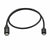 USB Cable Startech USB2CUB50CM USB C Black