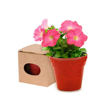 Pot with Seeds 149966 Includes