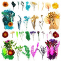 Decorative Flowers (Refurbished D)