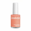 Nail polish Andreia Professional Hypoallergenic Nº 31 (14 ml)