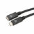 Cable USB C V7 V7UC3EXT-2M          Black