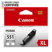 CANON Cartouche d'encre CLI-551GY XL grande capacité Gris (CLI551XL)