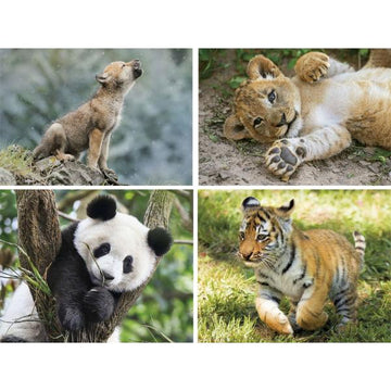 Wildlife puzzle 20+60+100+180pcs