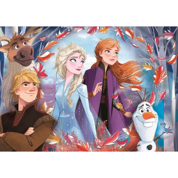 Disney Frozen 2 puzzle 60pcs