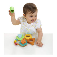 Activity centre Baobab Shape Sorter Chicco (4 pcs)