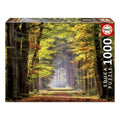 Puzzle Paseo Otoñal Educa (1000 pcs)