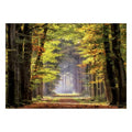 Puzzle Paseo Otoñal Educa (1000 pcs)