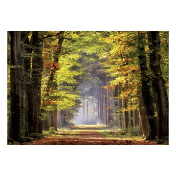 Puzzle Paseo Otoñal Educa (1000 pcs)