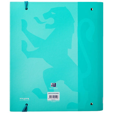 Ring binder Oxford A4+ Light Green