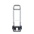 Shopping cart Rolser SBELTA T 4.2TOU Green (44 L)