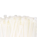 Nylon Cable Ties EDM Natural 550 x 8 mm (100 Units)