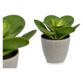 Plant pot Sheet Large Circular Plant Green Plastic (17 x 21 x 20 cm)