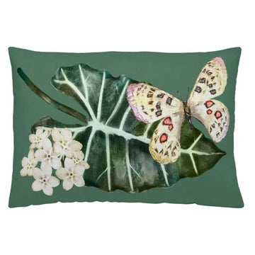 Cushion cover Time4Dreams Sarah (50 x 30 cm)