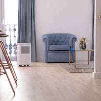 Dehumidifier Cecotec BigDry 5000 Advance Connected 250W 2,2 L